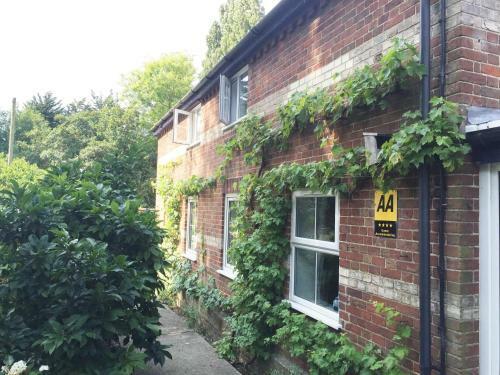 Hostal South Norfolk Guest House