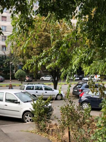 Apartament Just Like Home Bv Dacia With Invoice