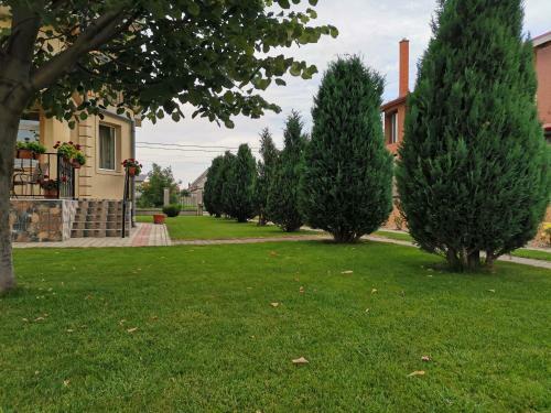 Casuta Cu Tei-lime House