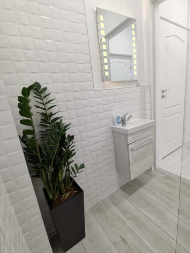 Casuta Cu Tei-lime House