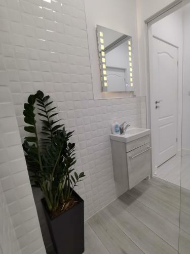 Casuta Cu Tei-lime House