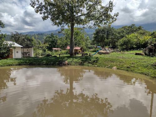 Glamping, Nido Tortolitos