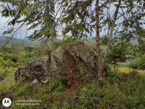 Glamping, Nido Tortolitos