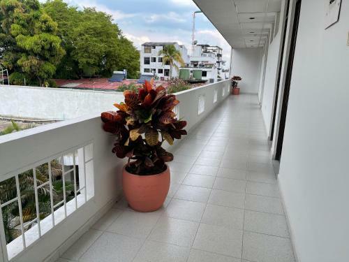 Hotel Luna Roja Del Llano