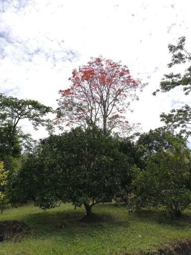 Hacienda El Paraiso Villeta