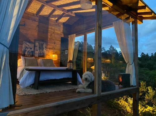 Eco Glamping Farallones