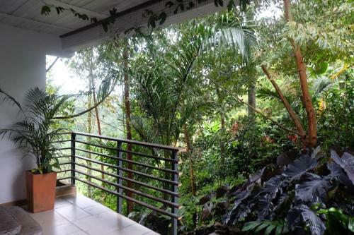 Lodge Casa Nativo