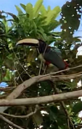 Casa Em Jeribuca�u