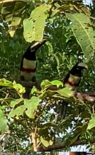 Casa Em Jeribuca�u