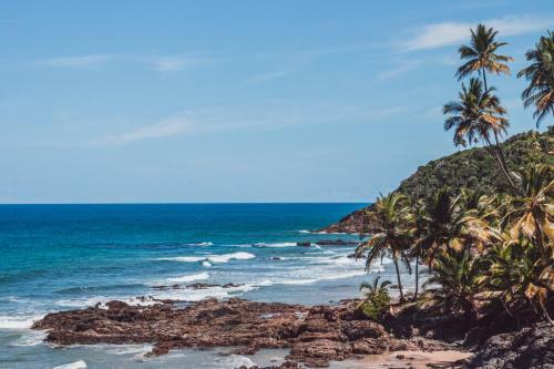 Apartamento Pi� Ecovila