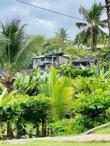 Posada Tiririca Surf House