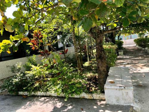 Apartamento Condom�nio Anchieta Itanha�m