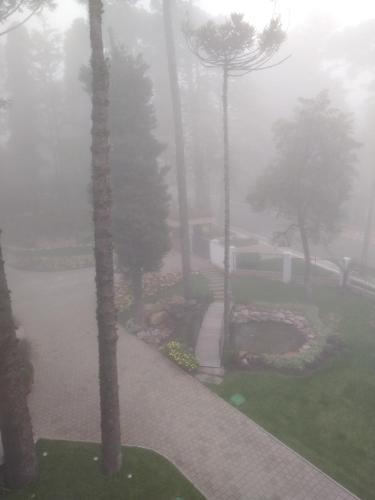 Apartamento Morada Herz 316