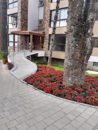 Apartamento Morada Herz 316