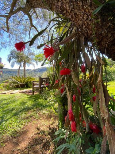 Vacanze Alugueis de Temporada - Res Villa Akor