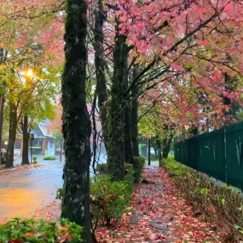 Apartamento Apt No Centro De Gramado. Novo, Lindo E Rom�ntico!