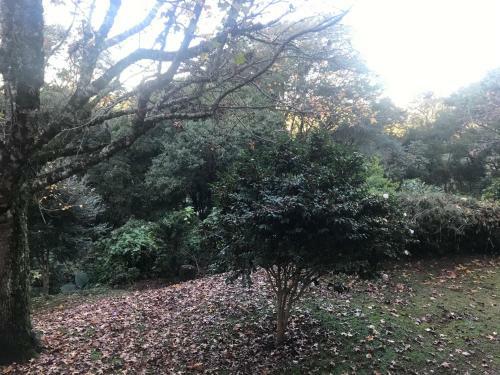 Apartamento Floresta Encantada, O Seu Sonho Em Gramado!
