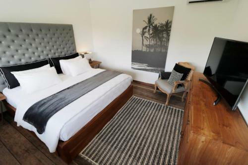 Amazing 3 Bedrooms Villa Canggu