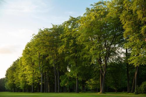 Hotel Doubletree By Hilton Forest Pines Spa & Golf Resort