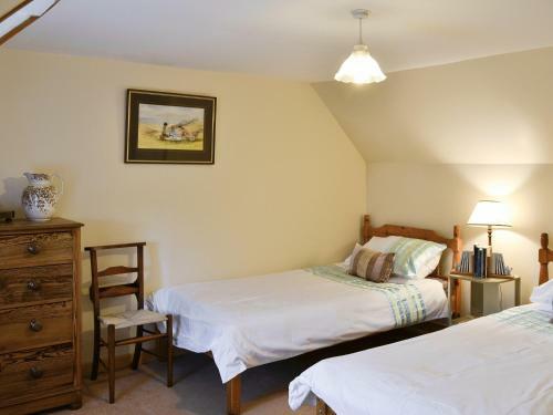 Ashlyn