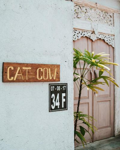 Cat Cow Yoga Villa