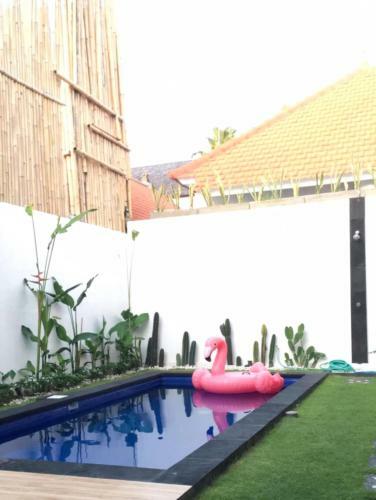 Apartamento Dandy?s Guest House