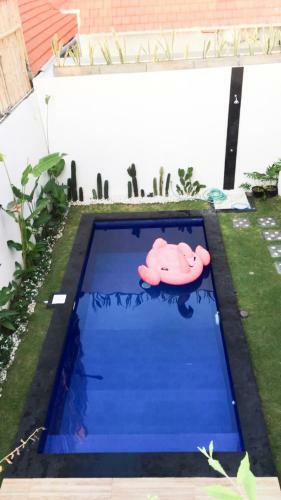 Apartamento Dandy?s Guest House