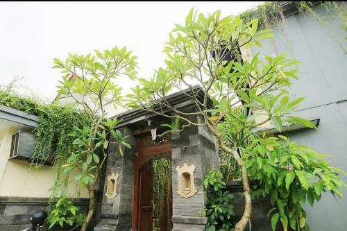 Apartamento Radeya Guest House