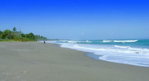 Apartamento Radeya Guest House