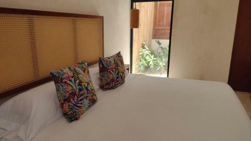 Bed & Breakfast Pi�a Coloradas Ecolodge