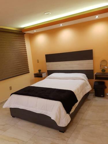 Apartamento Departamento Centro Zacatecas Black Deer