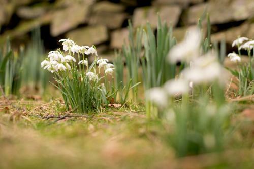 Albergue Yha Buttermere