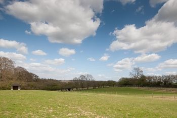 Bed & Breakfast Field Green Oast