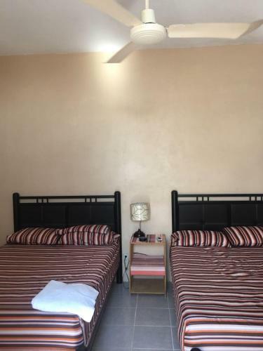 Hostal Casa Celerina