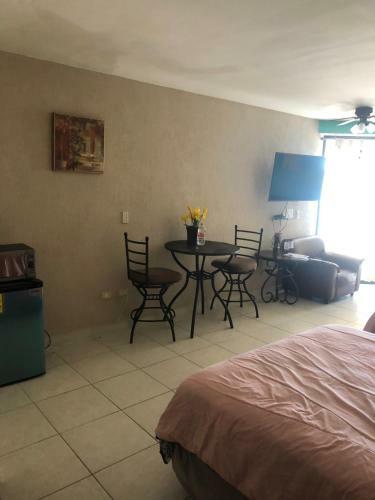 Apartamento Estudio Frente Al Mar 316 Posada