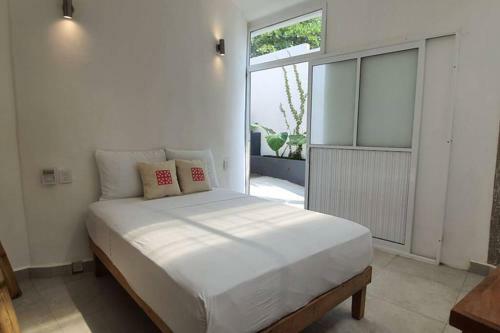 Apartamento Ana En Jungla Zipolite Con Entrada Independiente
