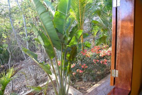 Bed & Breakfast Casa Biul�