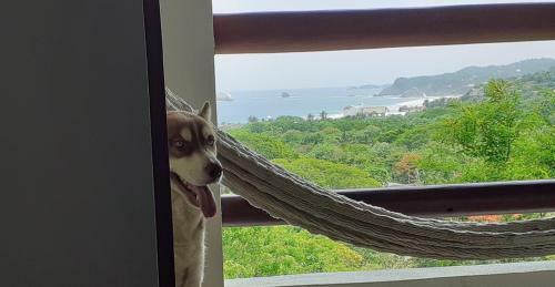 Posada Aldea Xha Iba' Zipolite