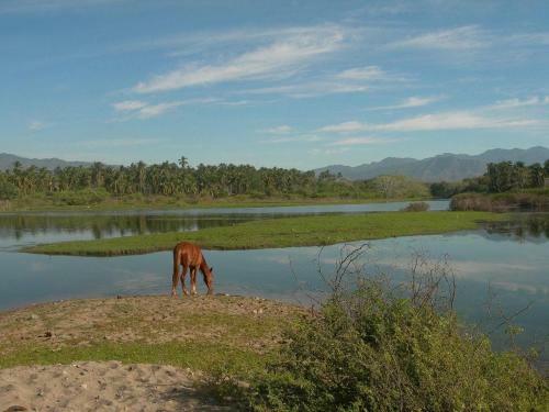 Casamar, Beach Front Estate On Troncones Point