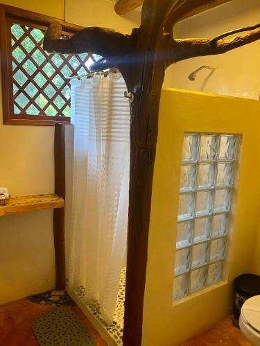 Bed & Breakfast Casa Tania Lodge