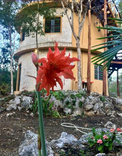 La Casa Redonda. Tulum-cob�
