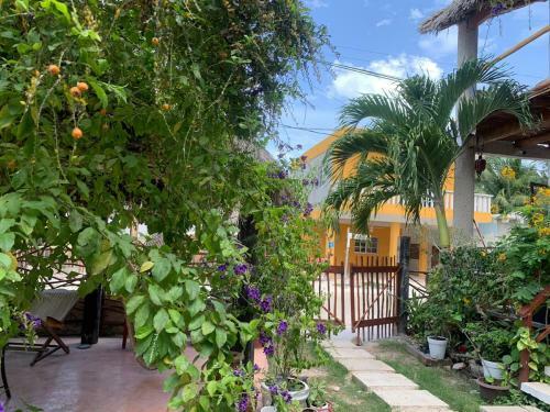 Hotel Don Panchon Y Maruxa