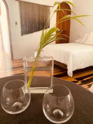 Madre Holbox Apartments & Suites