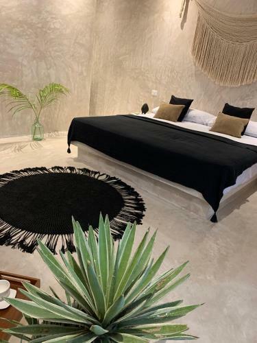 Madre Holbox Apartments & Suites