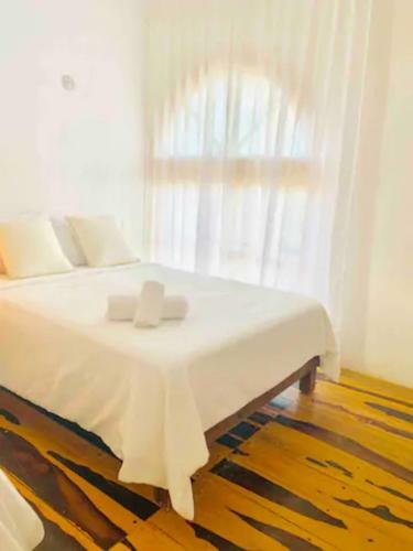Madre Holbox Apartments & Suites