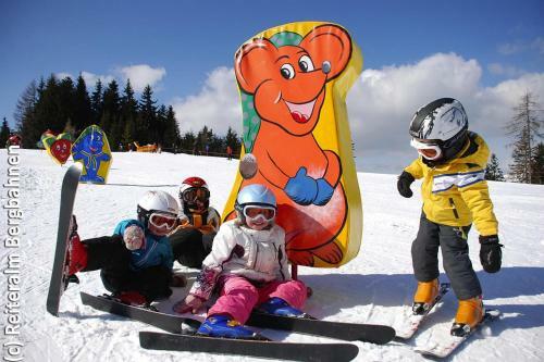 Chalets Reiteralm, Pichl Im Ennstal