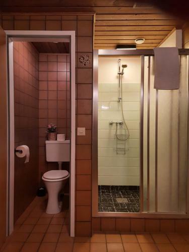 Apartamento Ferienhaus Enzian
