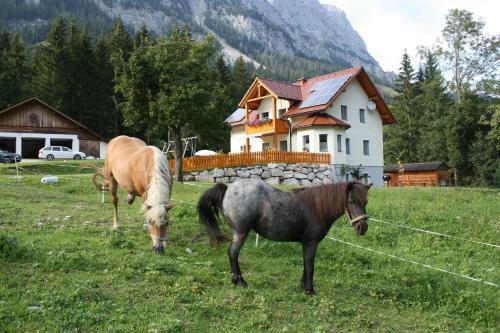Apartamento Ferienwohnung Radmer