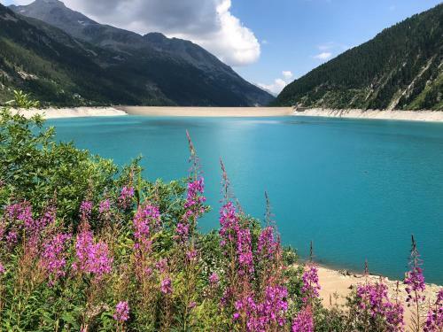 Apartamento Landhaus Zillertal