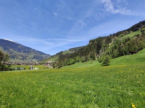 Apartamento Landhaus Zillertal